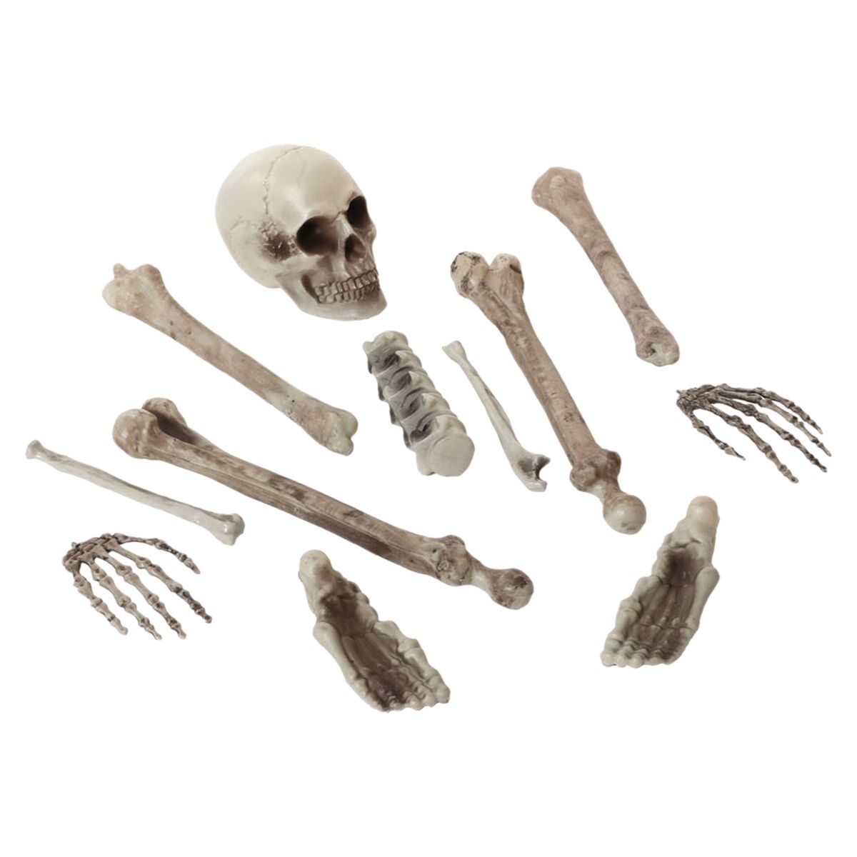 Ett makabert, 12-delars kit med skelettdelar, inklusive ett kranium, händer, fötter och diverse ben, utspridda mot en vit bakgrund.
