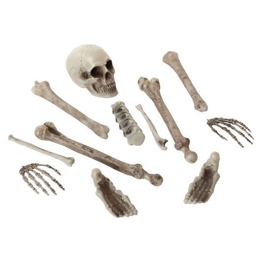 Ett makabert, 12-delars kit med skelettdelar, inklusive ett kranium, händer, fötter och diverse ben, utspridda mot en vit bakgrund.